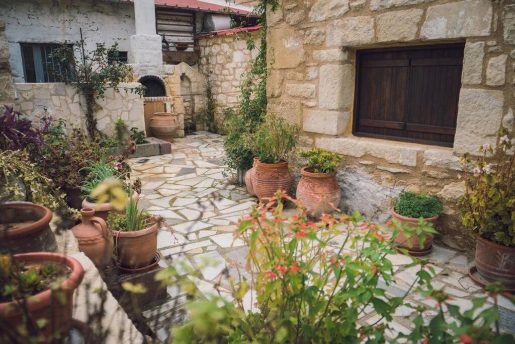 The Royal Stonehouse : Sophia Villa Vasiliki  Exteriör bild